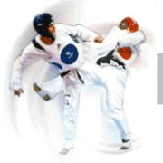 tkd.gif