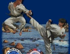 title 2 tkd b.jpg