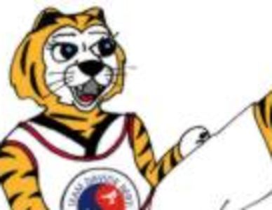 Tigers Hwarangdan 4-6 anni