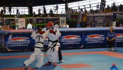 Agonistica TKD Itf Choi JH